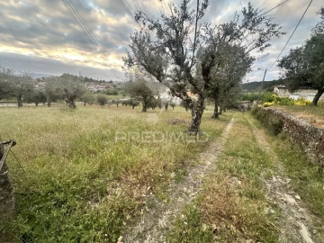 Moradia T3 para Venda em Planalto de Monforte (Oucidres e Bobadela)
