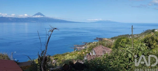 Moradia para Venda em Manadas (Santa Barbara)