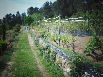 Terreno para Venda em Torgueda