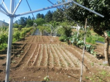 Terreno para Venda em Torgueda