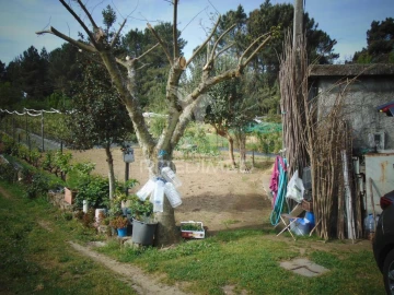 Terreno para Venda em Torgueda
