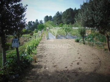 Terreno para Venda em Torgueda
