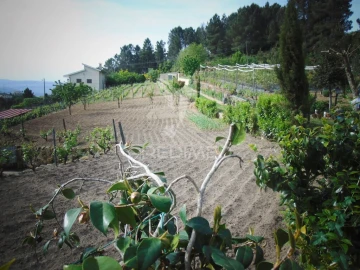 Terreno para Venda em Torgueda