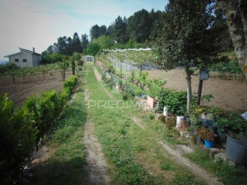 Terreno para Venda em Torgueda