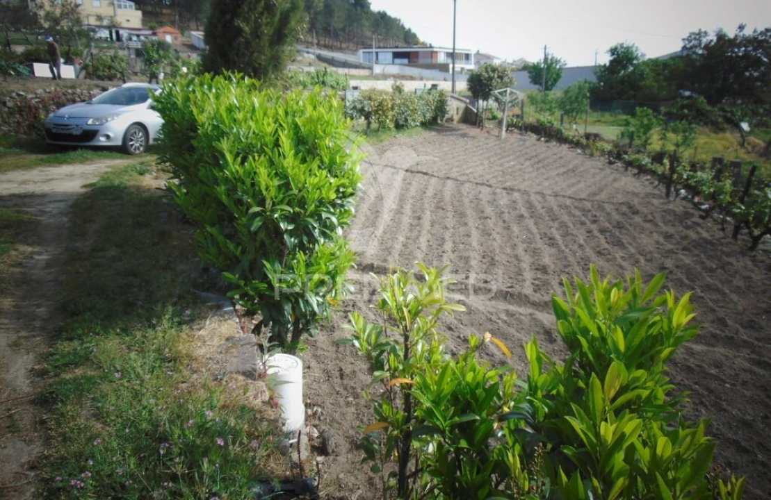 Terreno para Venda em Torgueda Foto 12