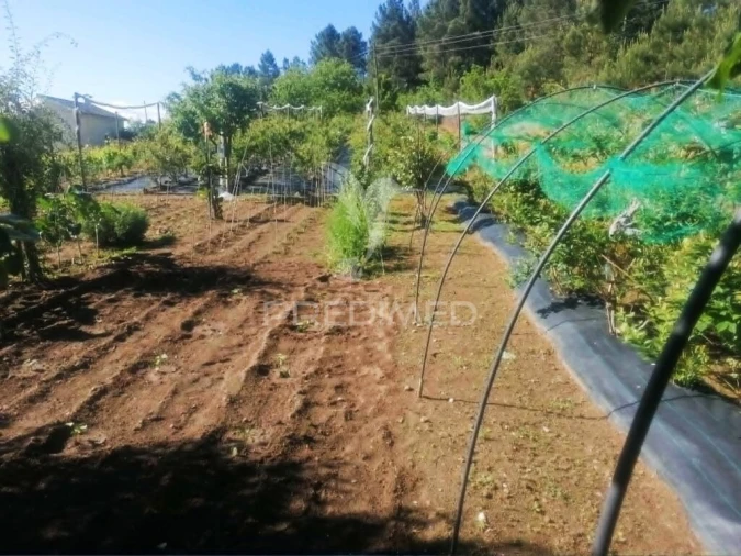 Terreno para Venda em Torgueda Foto 13