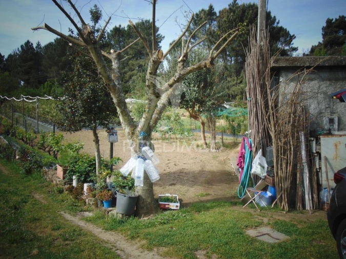 Terreno para Venda em Torgueda Foto 6