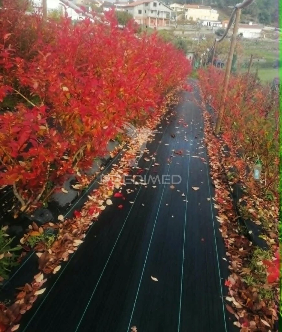 Terreno para Venda em Torgueda Foto 17