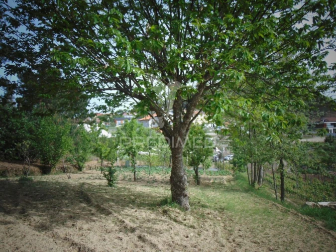 Terreno para Venda em Torgueda Foto 19