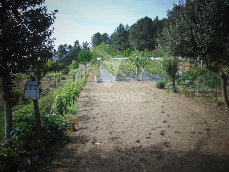 Terreno para Venda em Torgueda Foto 10
