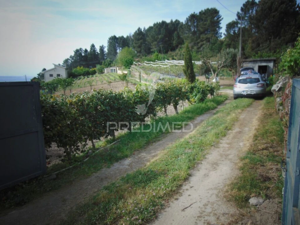 Terreno para Venda em Torgueda Foto 2