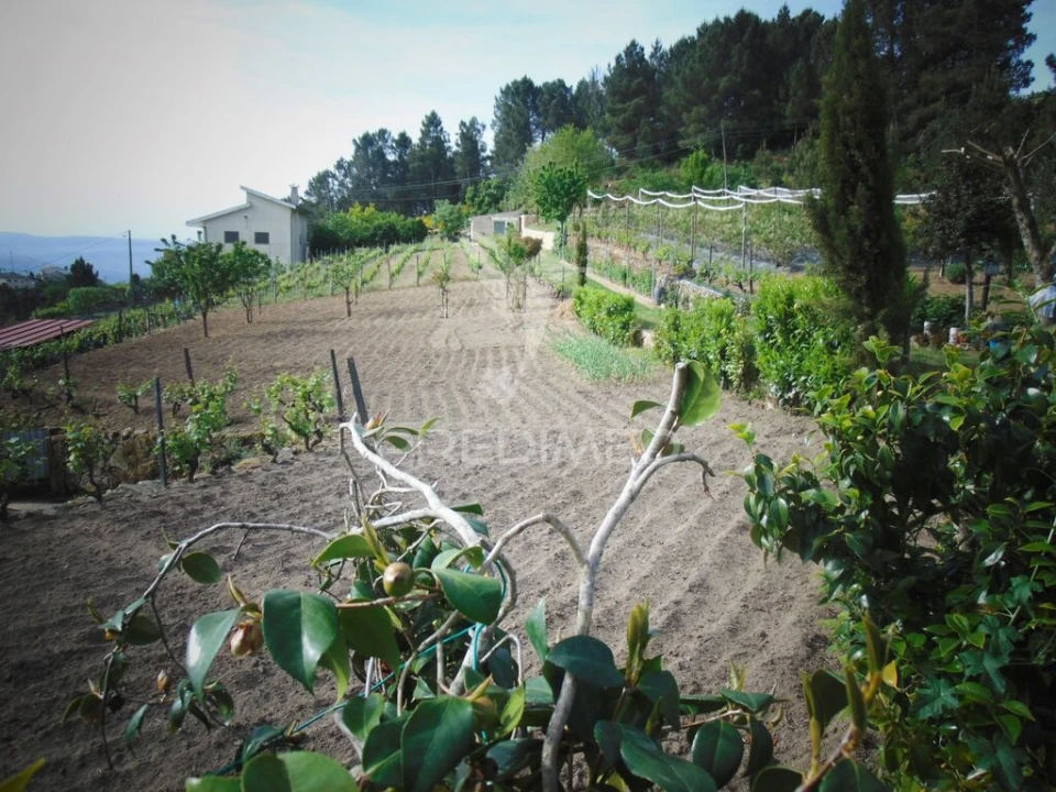 Terreno para Venda em Torgueda Foto 8