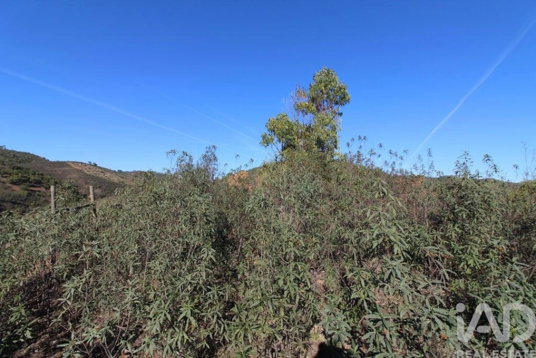 Moradia T2 para Venda em São Bartolomeu de Messines Foto 25