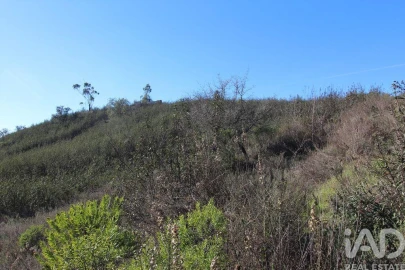 Moradia T2 para Venda em São Bartolomeu de Messines