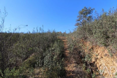 Moradia T2 para Venda em São Bartolomeu de Messines