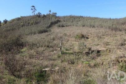 Moradia T2 para Venda em São Bartolomeu de Messines