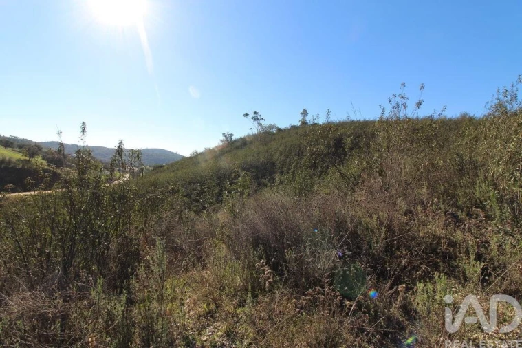 Moradia T2 para Venda em São Bartolomeu de Messines Foto 22