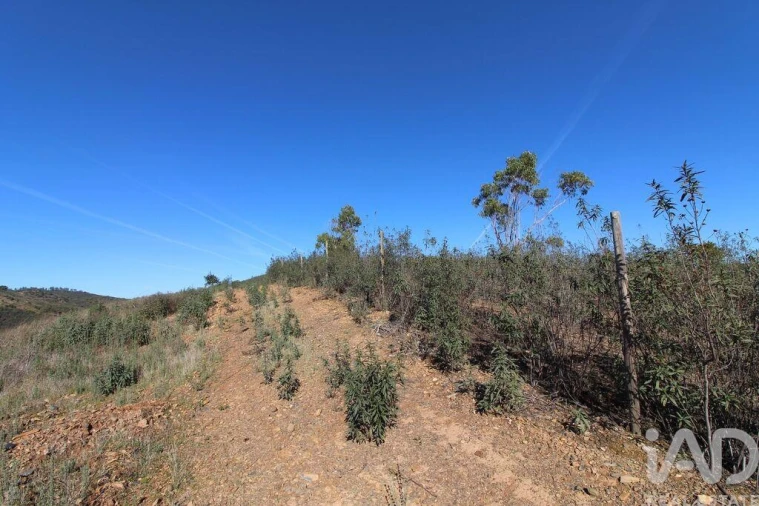 Moradia T2 para Venda em São Bartolomeu de Messines Foto 5