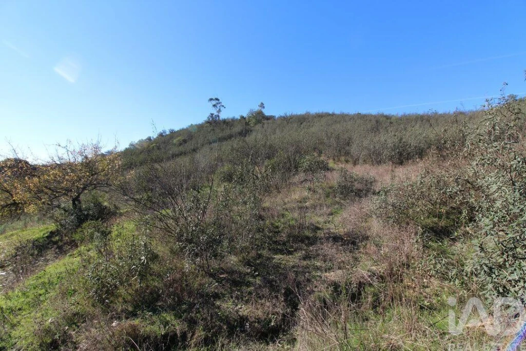 Moradia T2 para Venda em São Bartolomeu de Messines Foto 18