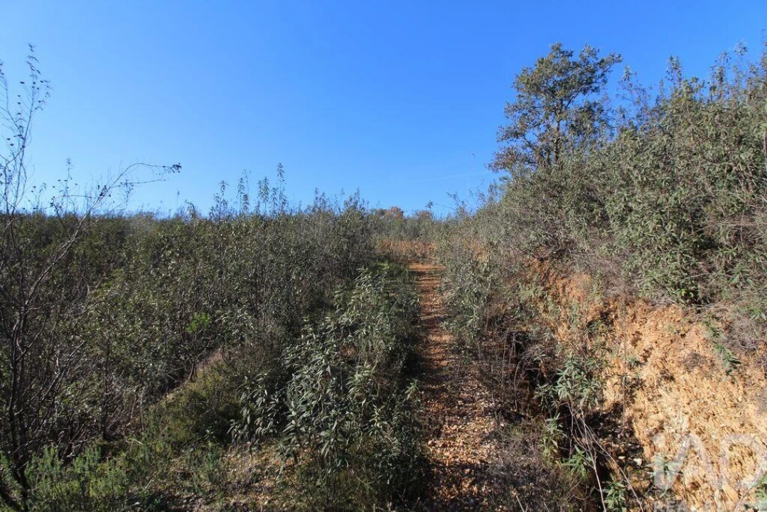 Moradia T2 para Venda em São Bartolomeu de Messines Foto 8