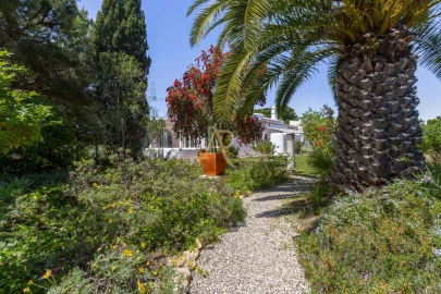 Moradia T3 para Venda em Lagoa e Carvoeiro