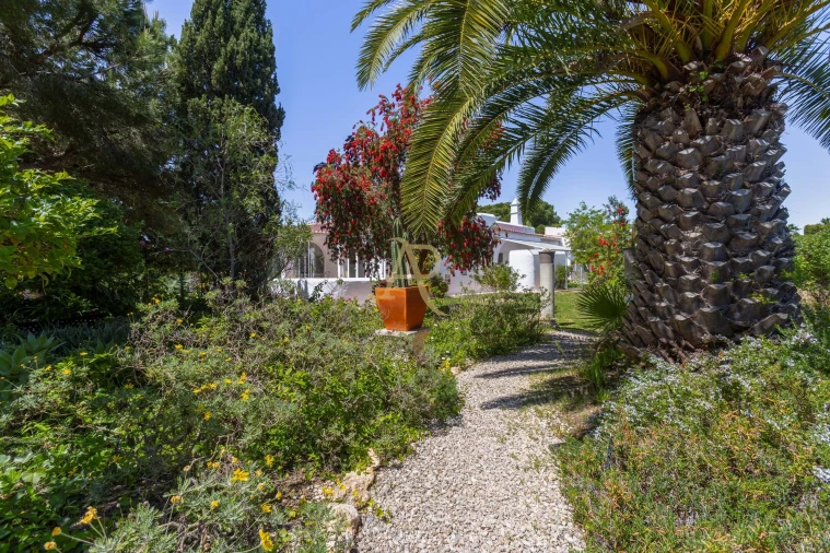 Moradia T3 para Venda em Lagoa e Carvoeiro Foto 45