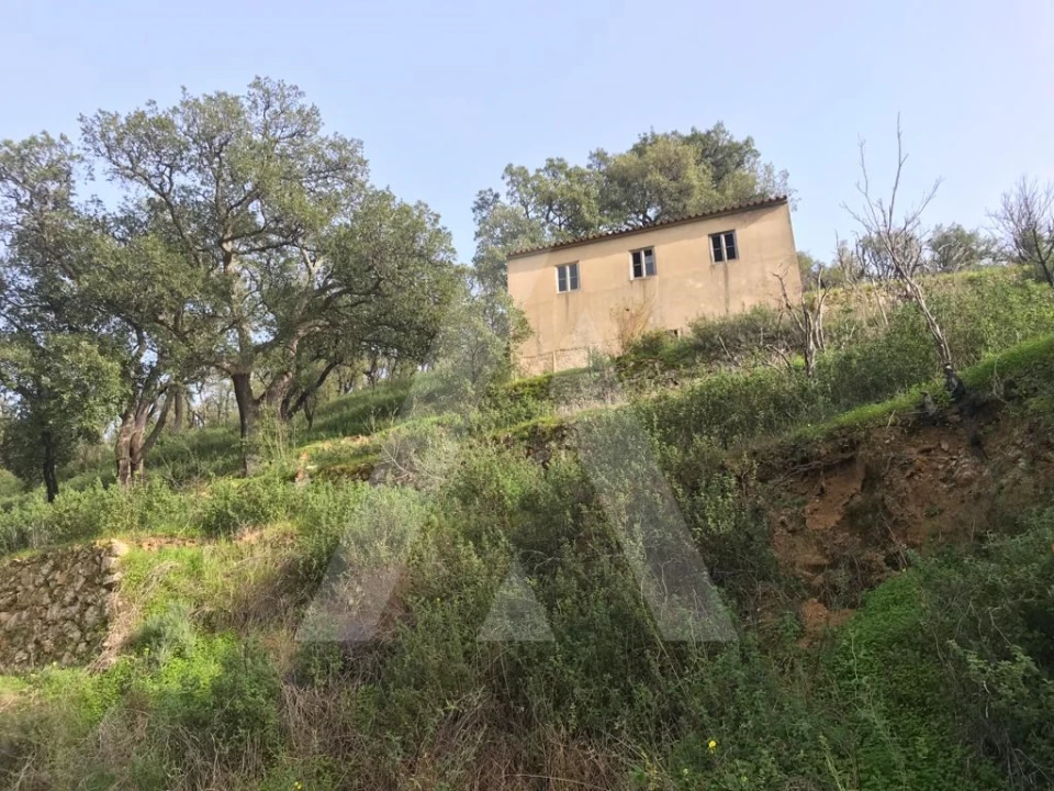 Terreno para Venda em Monchique Foto 4