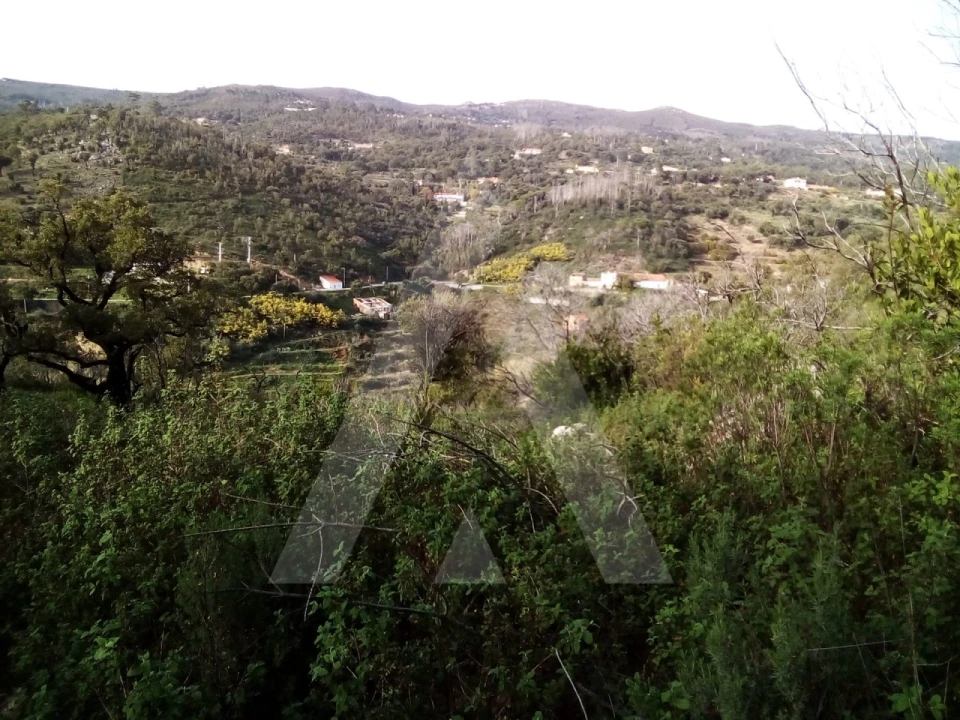 Terreno para Venda em Monchique Foto 1