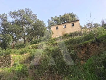 Terreno para Venda em Monchique