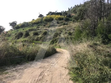 Terreno para Venda em Monchique
