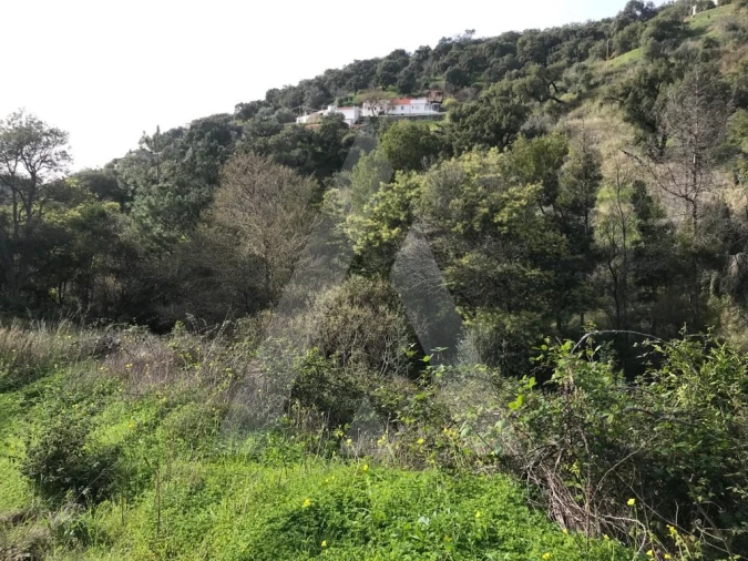 Terreno para Venda em Monchique Foto 13