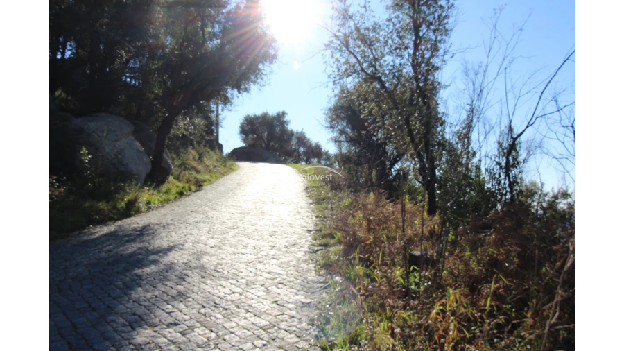 Terreno para Venda em Esporões Foto 2