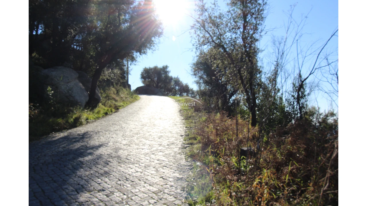 Terreno para Venda em Esporões Foto 2