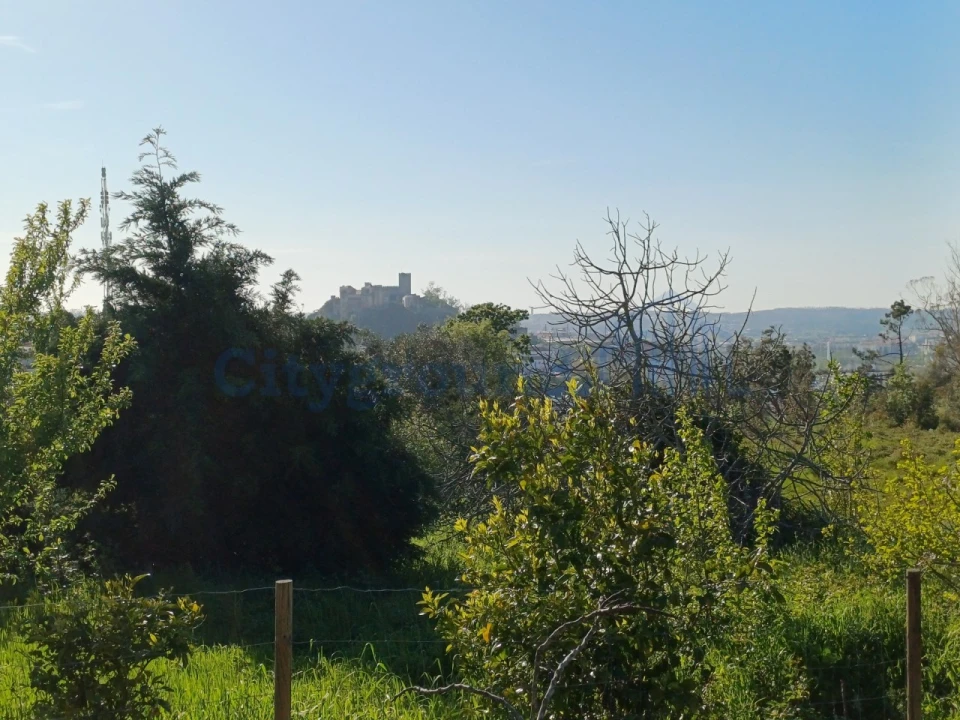 Terreno para Venda em Leiria, Pousos, Barreira e Cortes Foto 8