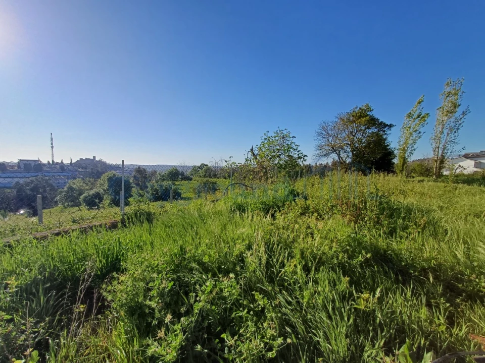 Terreno para Venda em Leiria, Pousos, Barreira e Cortes Foto 14