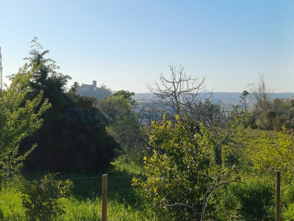 Terreno para Venda em Leiria, Pousos, Barreira e Cortes Foto 16