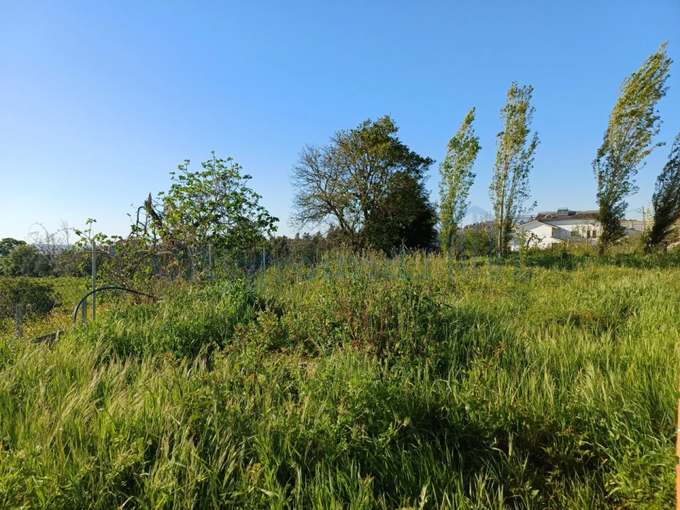 Terreno para Venda em Leiria, Pousos, Barreira e Cortes Foto 17