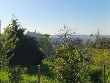 Terreno para Venda em Leiria, Pousos, Barreira e Cortes