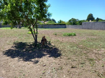 Moradia T7 para Venda em Silvalde