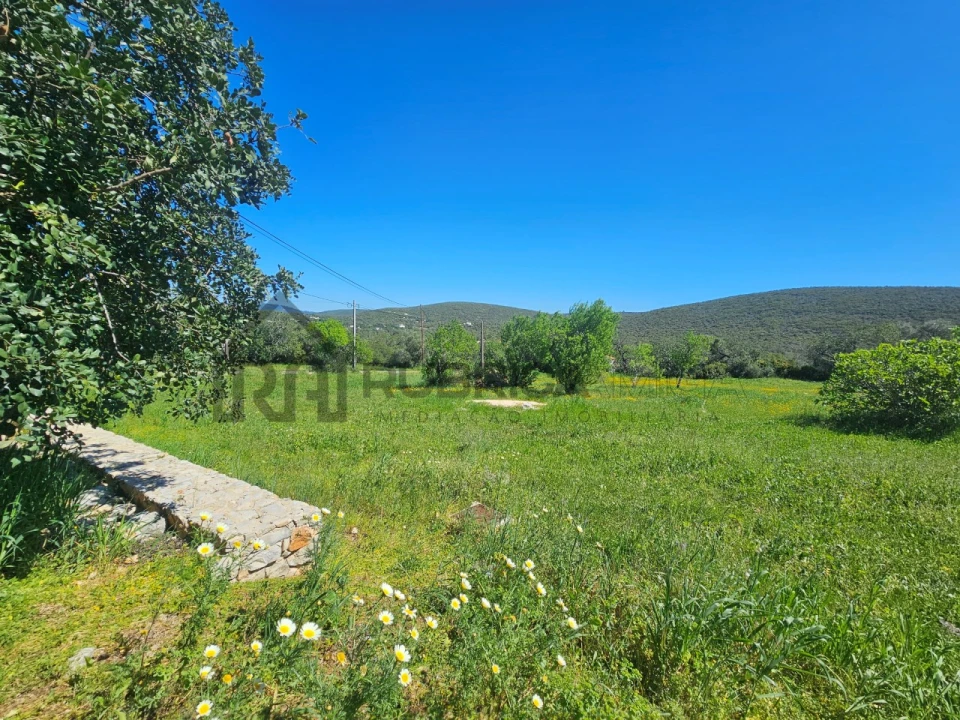 Terreno para Venda em Loule (São Clemente) Foto 2