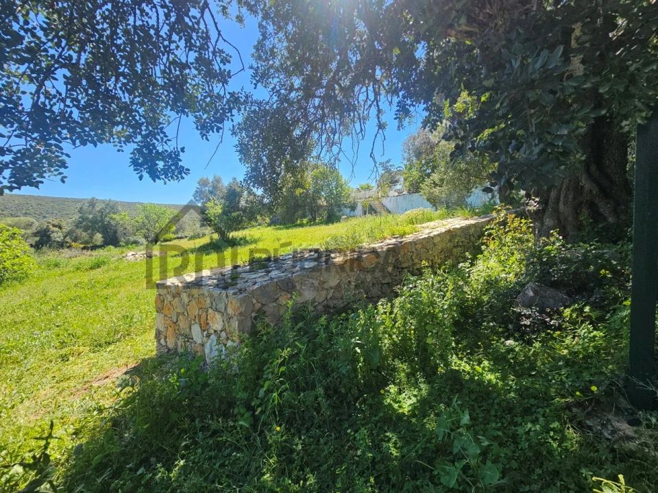 Terreno para Venda em Loule (São Clemente) Foto 7