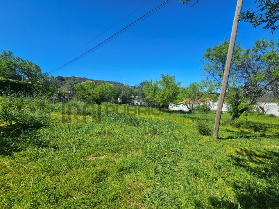 Terreno para Venda em Loule (São Clemente) Foto 11