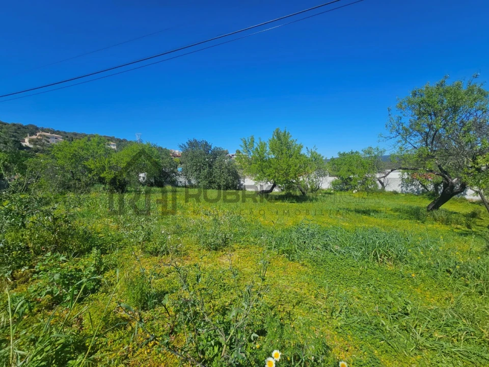 Terreno para Venda em Loule (São Clemente) Foto 12