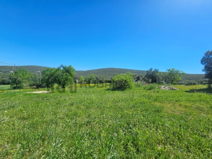 Terreno para Venda em Loule (São Clemente) Foto 4