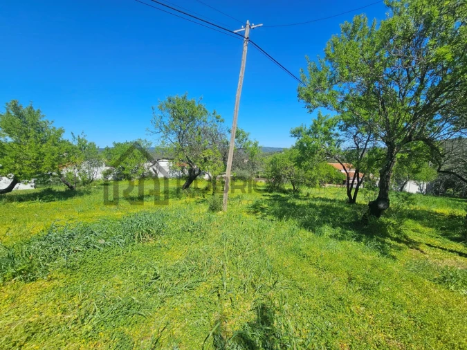 Terreno para Venda em Loule (São Clemente) Foto 13
