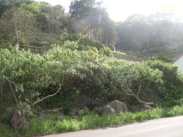 Terreno para Venda em Fontinhas