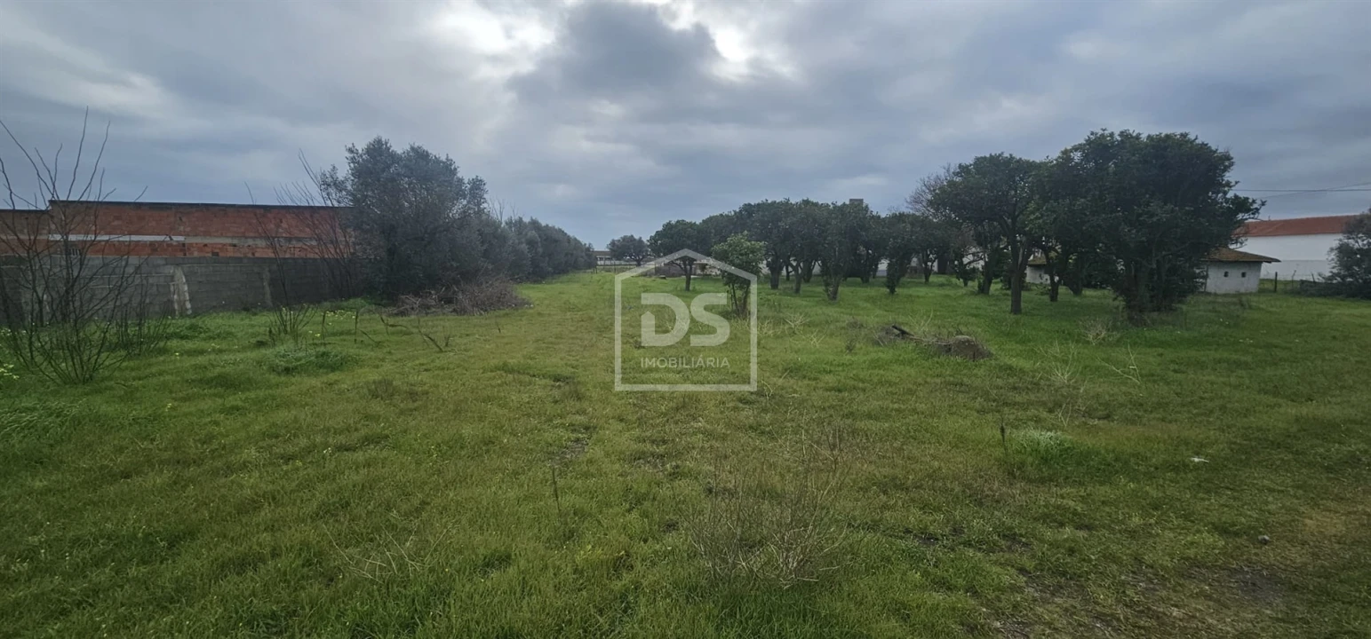 Terreno Misto para Venda em Sarilhos Grandes Foto 8