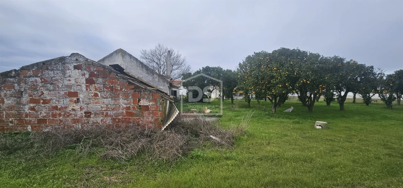 Terreno Misto para Venda em Sarilhos Grandes Foto 15