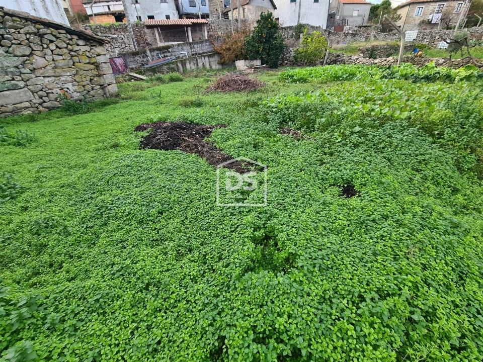 Moradia T5 para Venda em Aricera e Goujoim Foto 6