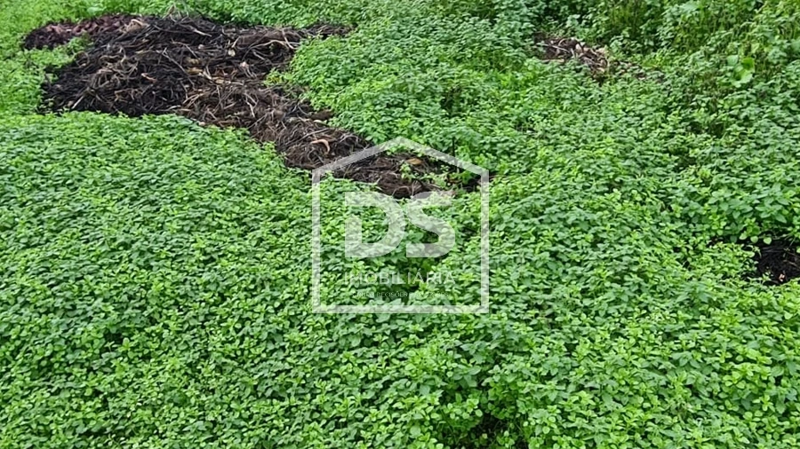 Moradia T5 para Venda em Aricera e Goujoim